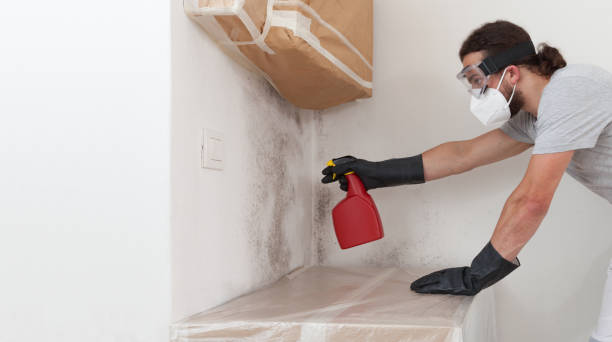 Professional Mold Removal technician working in Decatur, MI