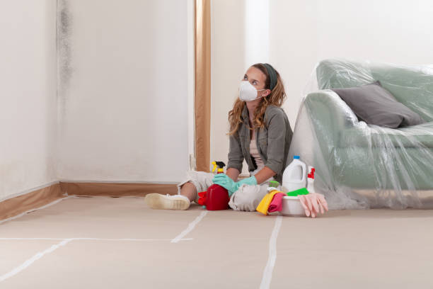 Reliable Mold Removal contractor in Decatur, MI by Mold Remediation HQ